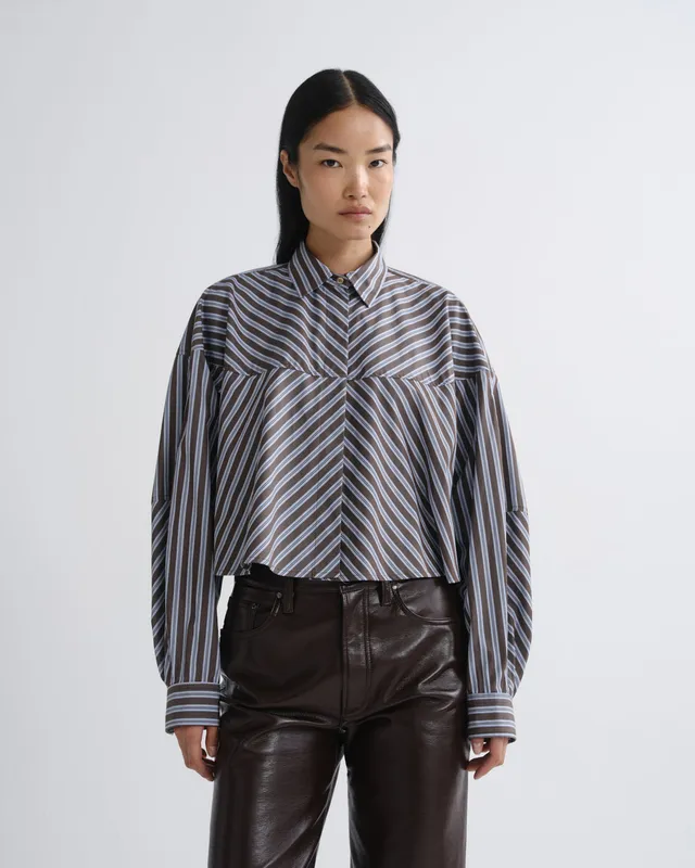 agolde-agnes-shirt-meyer-stripe-bluse-bracken-blue image 1