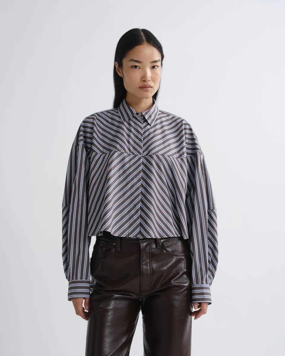 agolde-agnes-shirt-meyer-stripe-bluse-bracken-blue image 1
