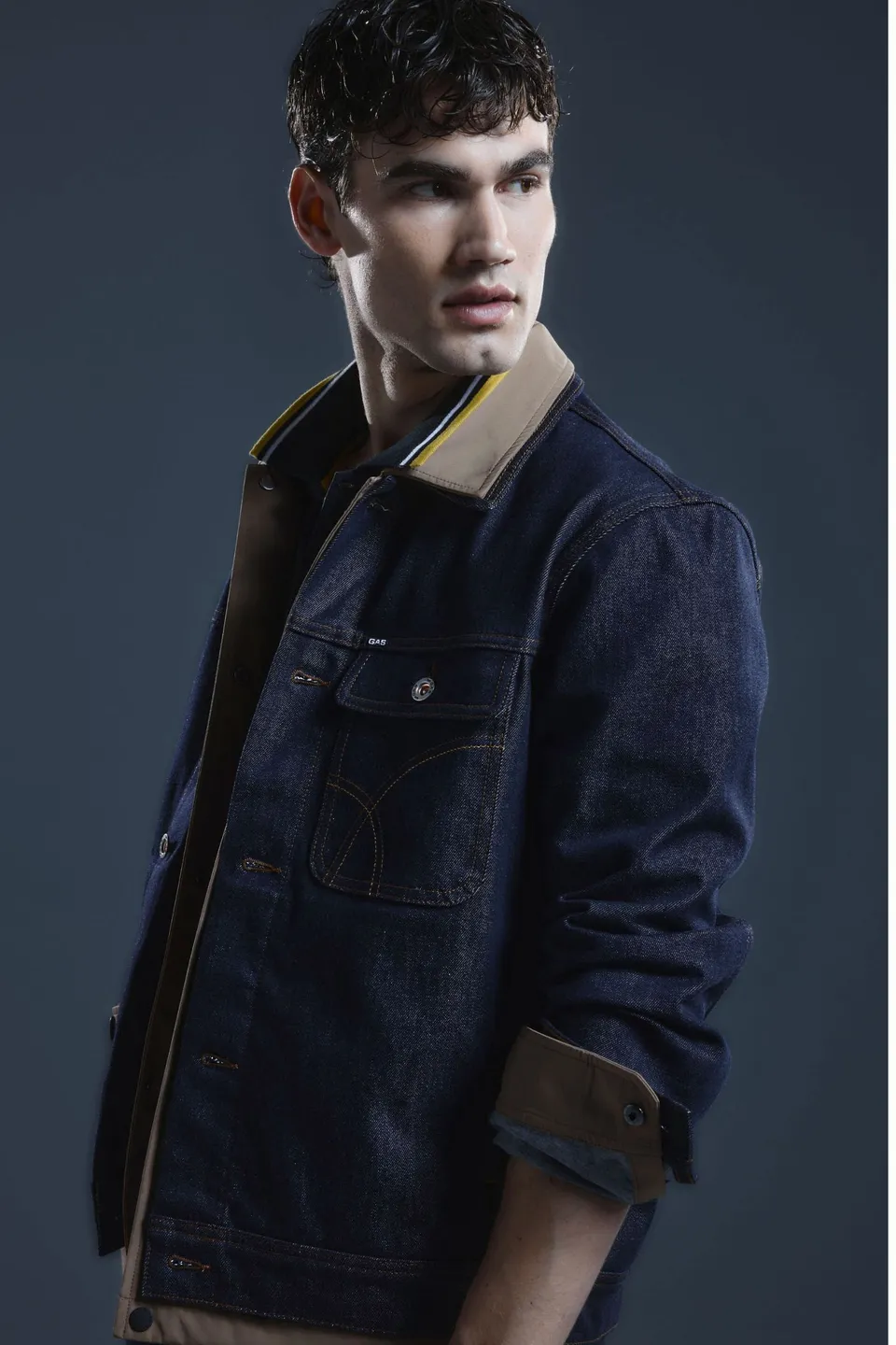 gas-frank-jacket-wk-10ro-jeansjacke-herren-regular image 1